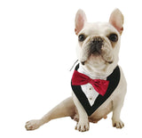Stylish Triangle Bandana – Cute, Functional Accessory for Pets!