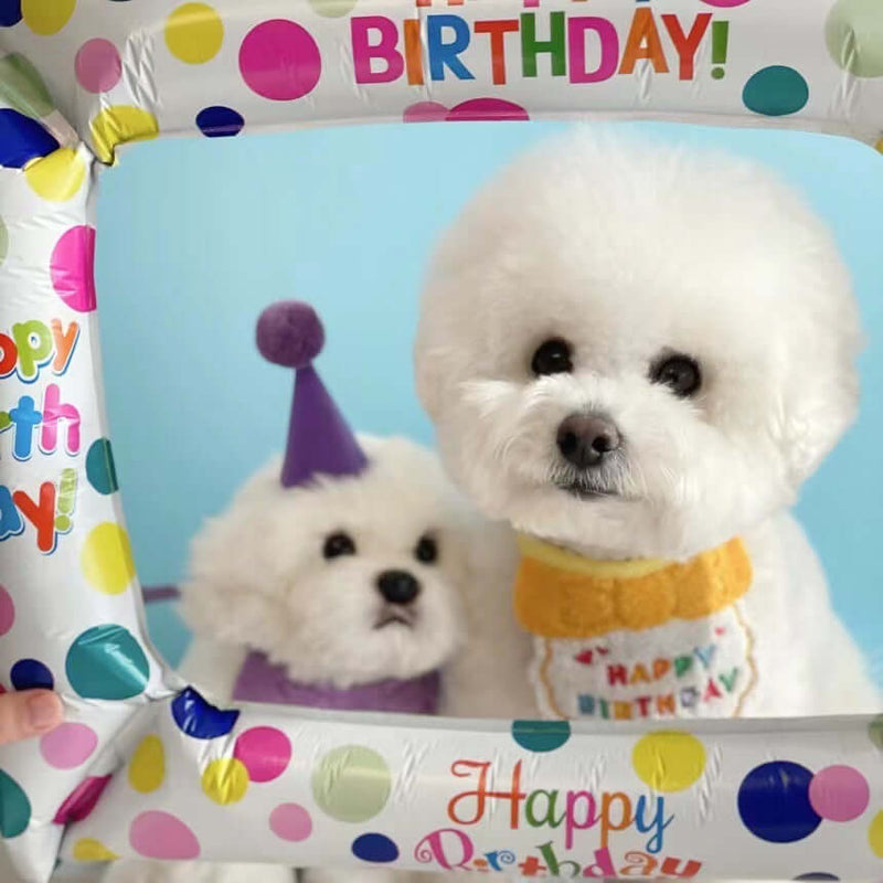 Pet Birthday Hat & Bib Set – Cute Party Outfit