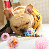 Colorful Rubber Chew Toy – Safe & Durable for Puppies