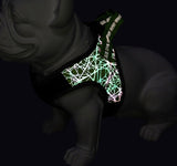 Durable Dog Harness: Stylish, Secure, and Comfortable! - Bark Adventure Shop