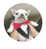 Stylish Triangle Bandana – Cute, Functional Accessory for Pets!