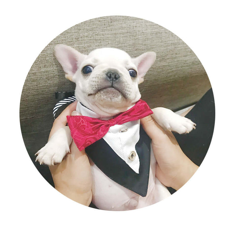 Stylish Triangle Bandana – Cute, Functional Accessory for Pets!