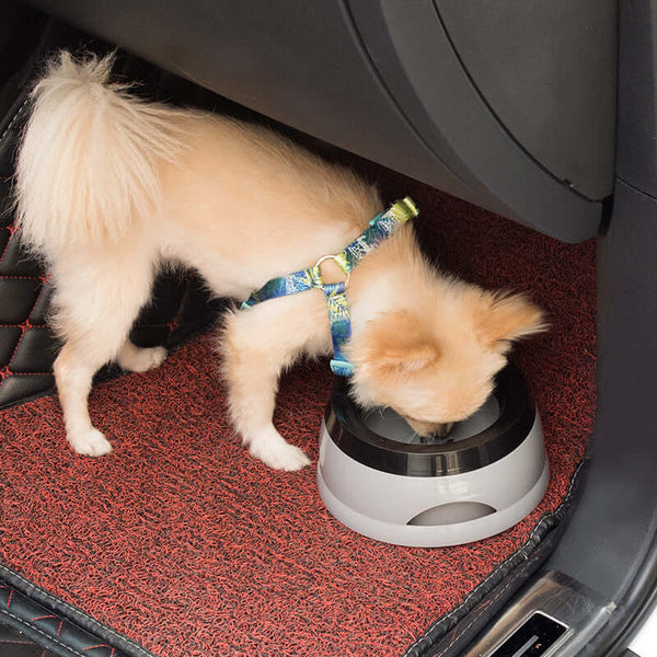 Spill-Proof Dog Water Bowl – No Mess, No Wet Mouth
