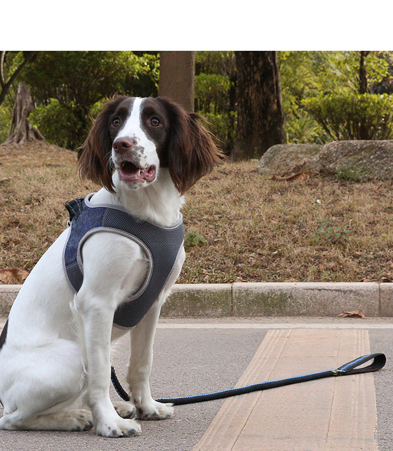 Durable Dog Harness: Stylish, Secure, and Comfortable! - Bark Adventure Shop