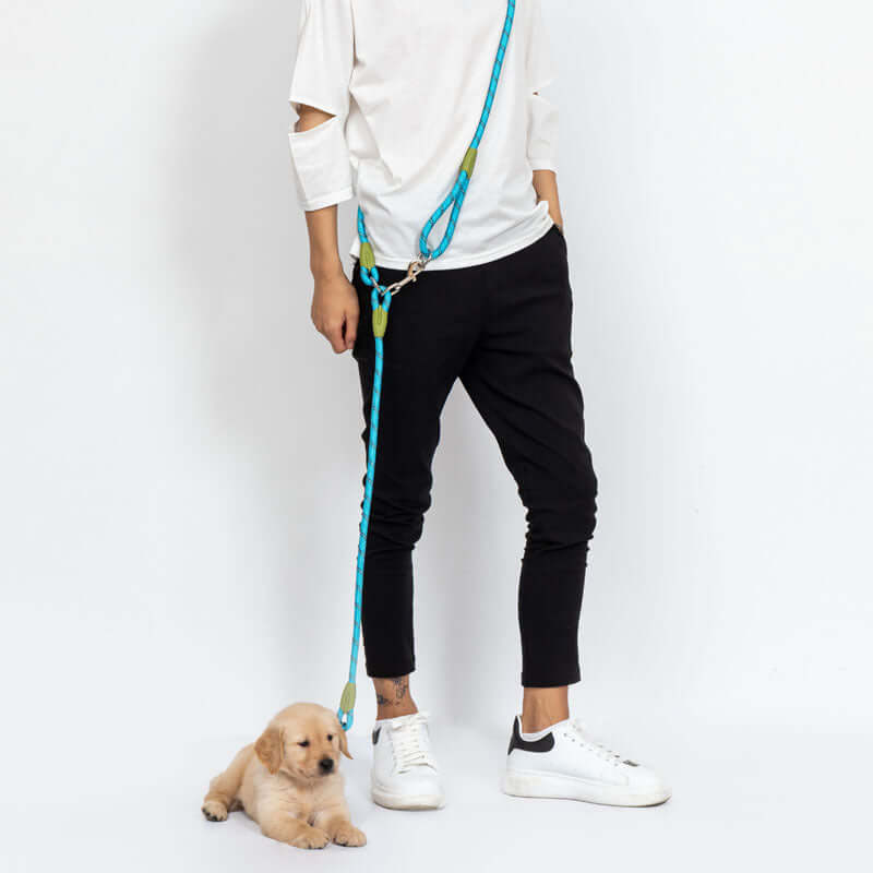 Durable Nylon Dog Leash – Strong, Comfortable & Tangle-Free
