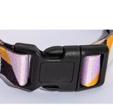 Vibrant Multi-Colored Dog Collar & Leash: Style Meets Comfort! - Bark Adventure Shop