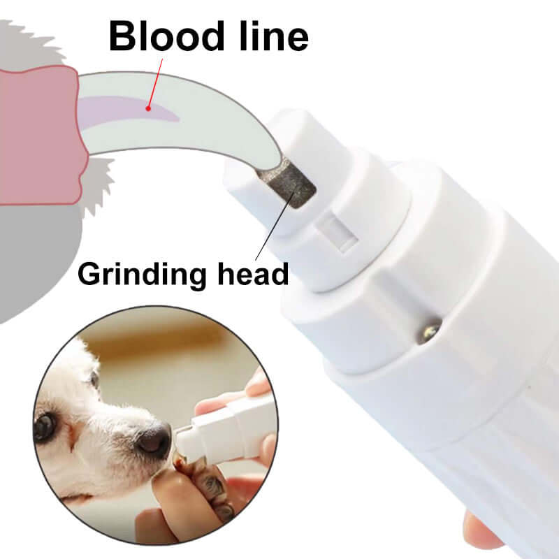 Electric Pet Nail Grinder with Light – Safe & Precise