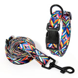 Vibrant Multi-Colored Dog Collar & Leash: Style Meets Comfort! - Bark Adventure Shop