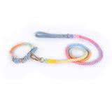 Stylish Woven Leather Dog Leash & Collar - Bark Adventure Shop