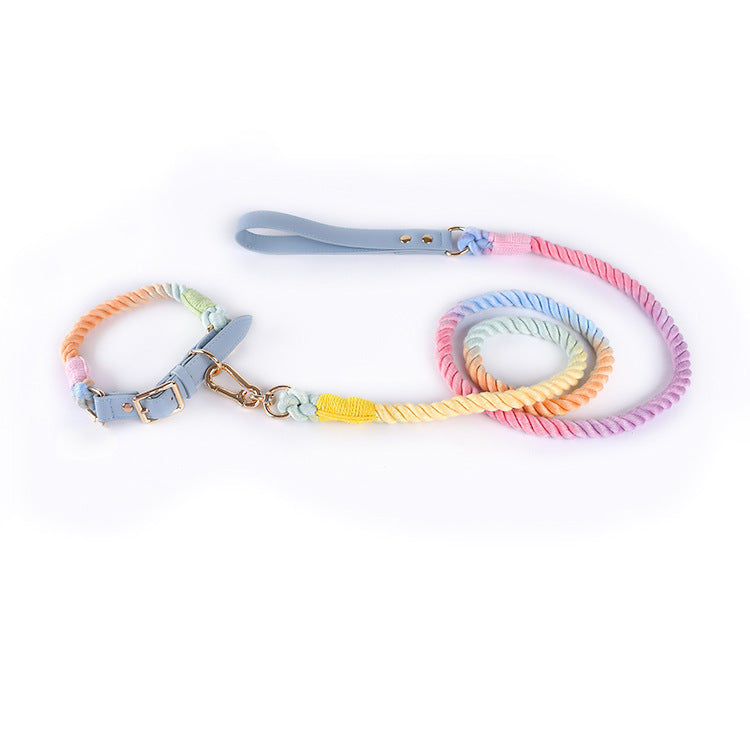 Stylish Woven Leather Dog Leash & Collar - Bark Adventure Shop