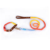 Stylish Woven Leather Dog Leash & Collar - Bark Adventure Shop
