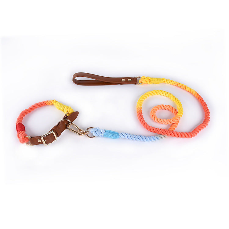 Stylish Woven Leather Dog Leash & Collar - Bark Adventure Shop