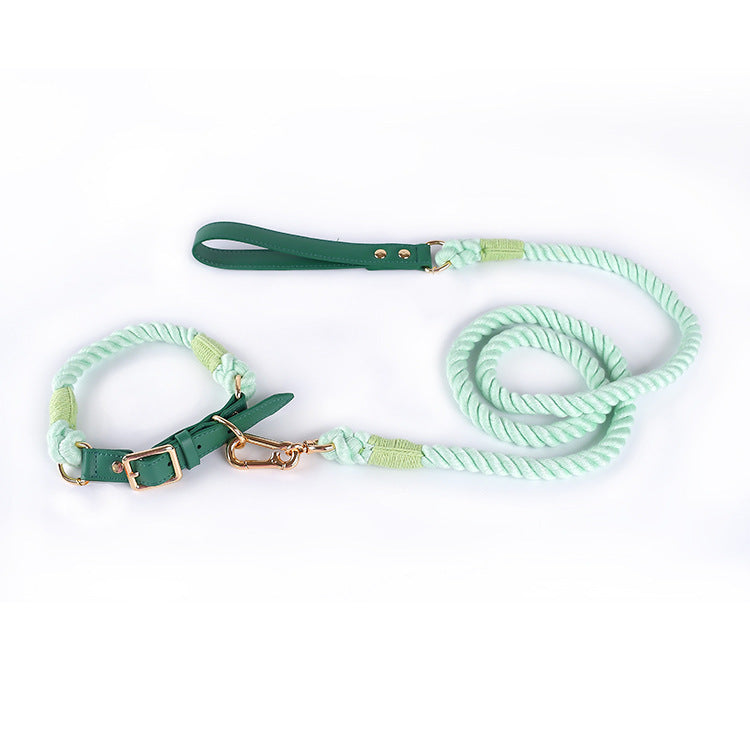 Stylish Woven Leather Dog Leash & Collar - Bark Adventure Shop