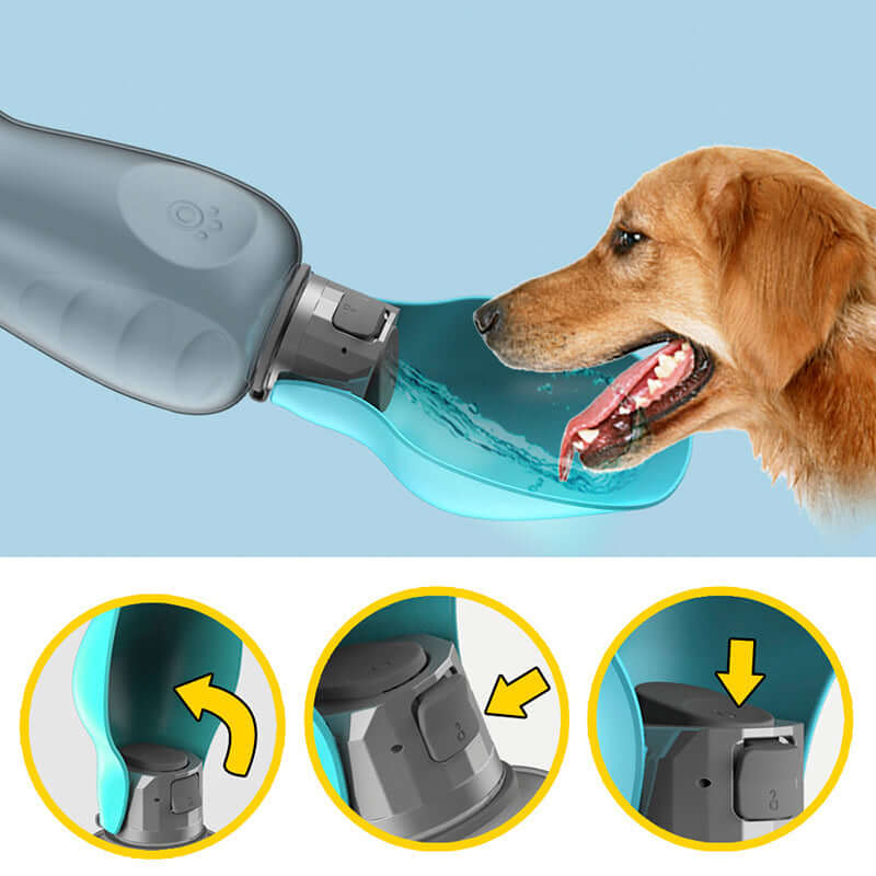 Portable Leakproof 800ml Dog Water Bottle