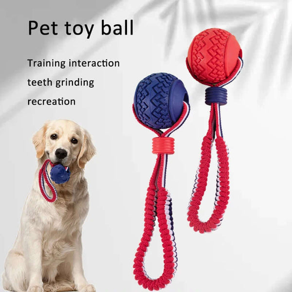 Interactive Dog Ball: Chew, Play, Train Anywhere!