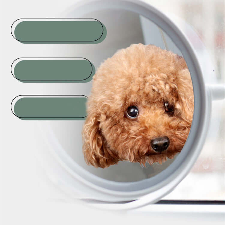 Pet Grooming Hammock – Stress-Free Nail Trimming Made Easy!
