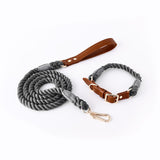 Stylish Woven Leather Dog Leash & Collar - Bark Adventure Shop