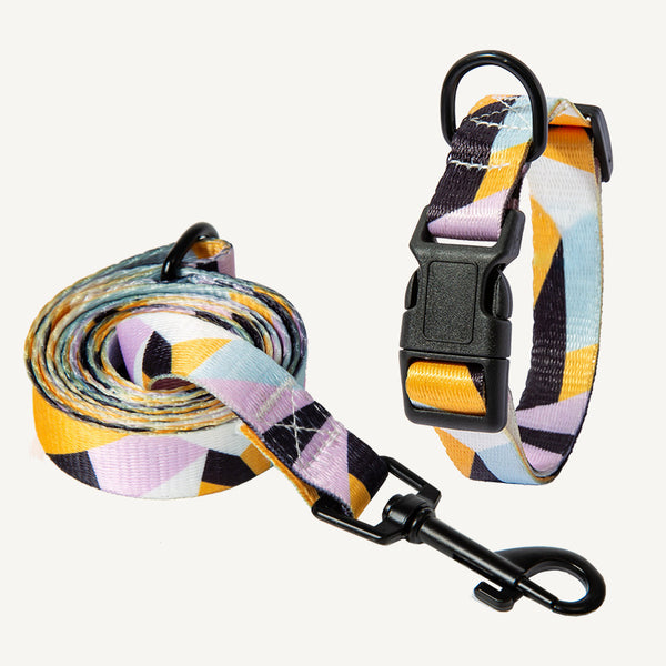 Vibrant Multi-Colored Dog Collar & Leash: Style Meets Comfort! - Bark Adventure Shop