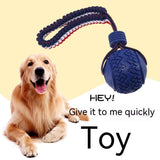 Interactive Dog Ball: Chew, Play, Train Anywhere!