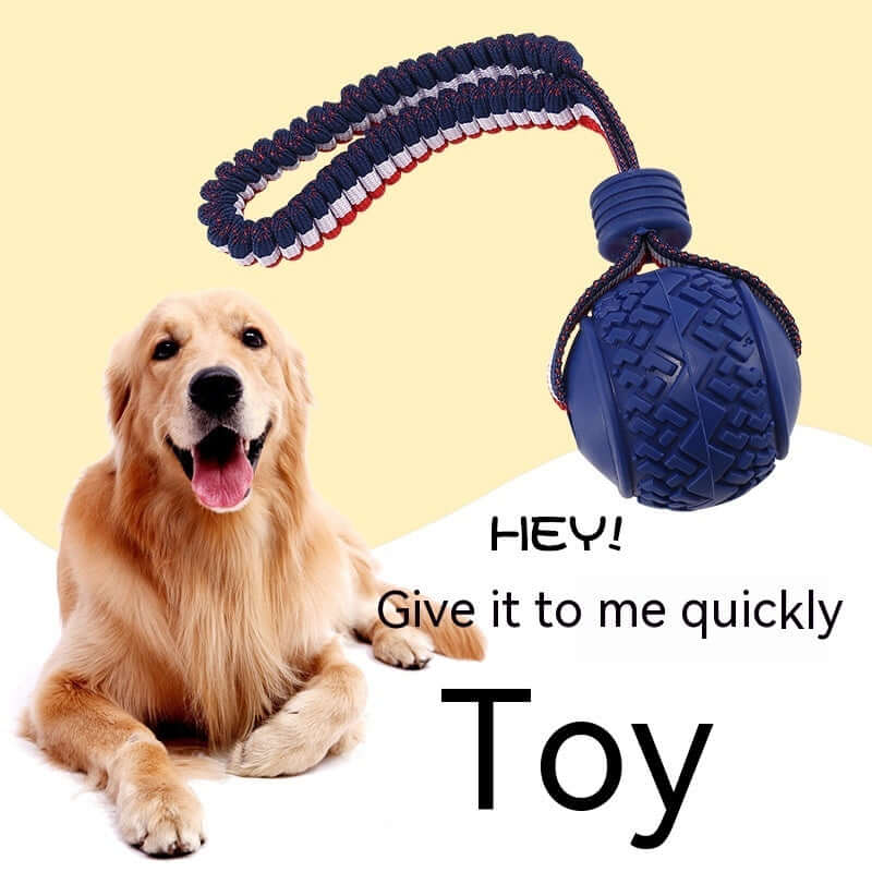Interactive Dog Ball: Chew, Play, Train Anywhere!