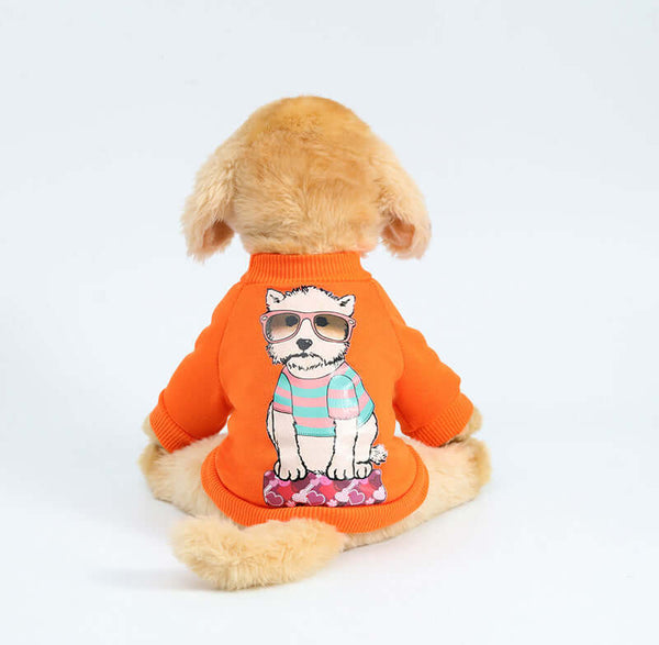 Stylish Two-Legged Dog Hoodie for Comfort and Warmth