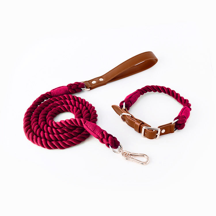 Stylish Woven Leather Dog Leash & Collar - Bark Adventure Shop