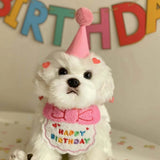 Pet Birthday Hat & Bib Set – Cute Party Outfit