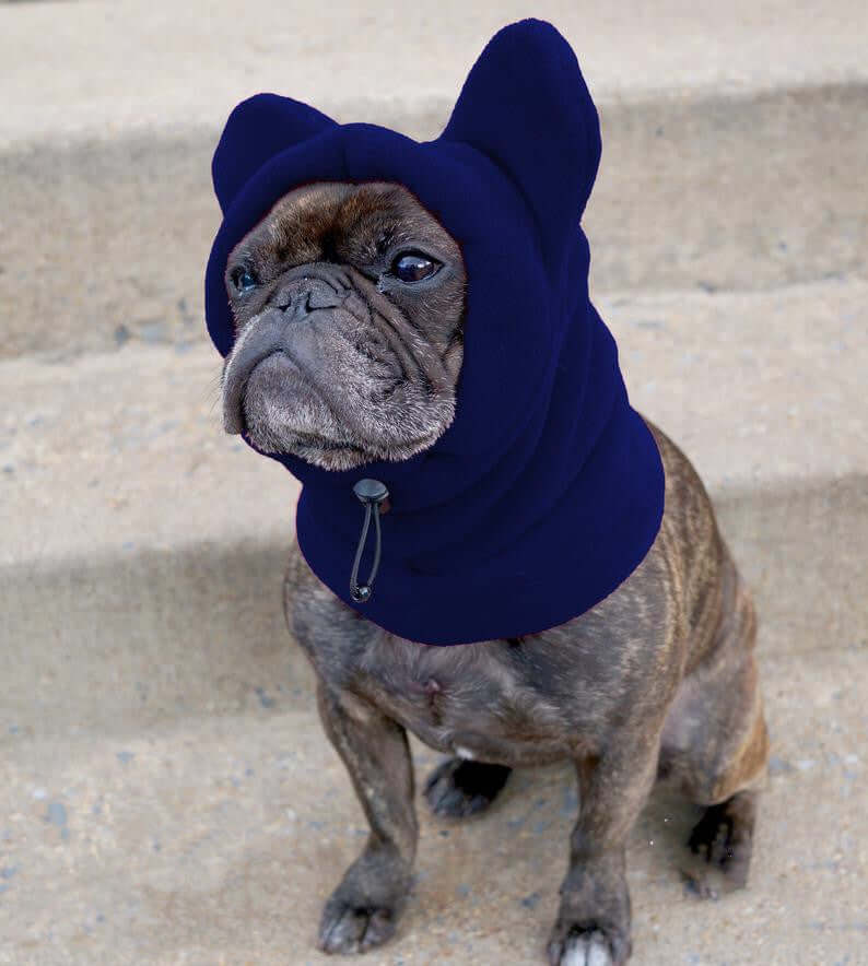 Cozy Polar Fleece Pullover – Stylish Warmth for Dogs!