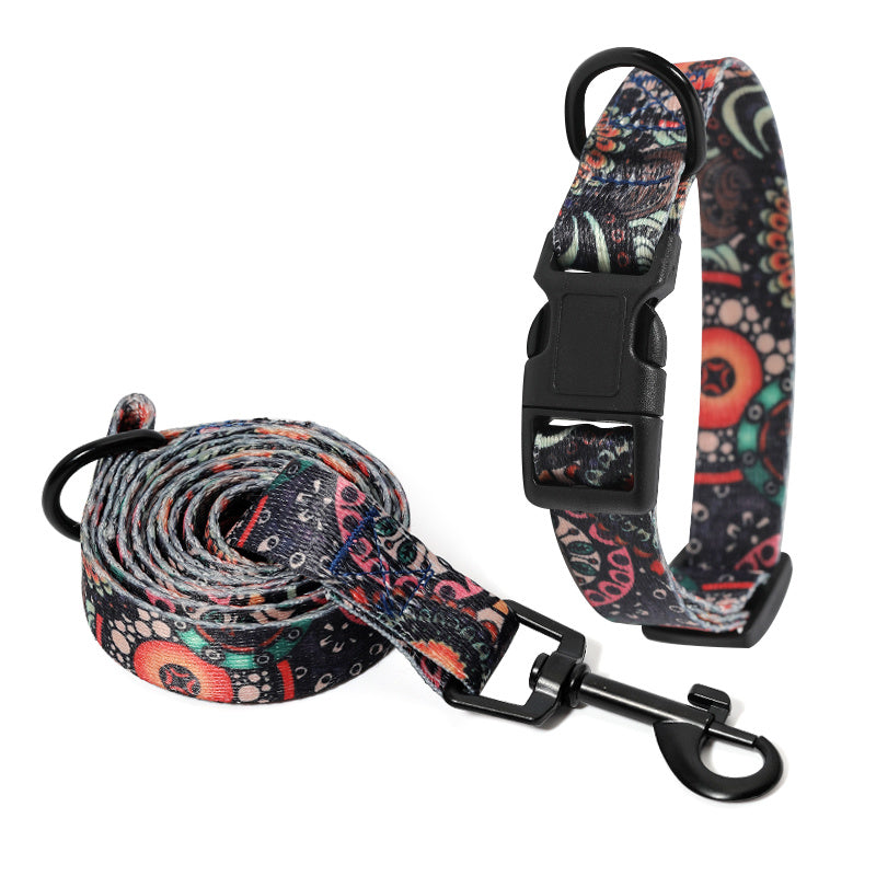 Vibrant Multi-Colored Dog Collar & Leash: Style Meets Comfort! - Bark Adventure Shop