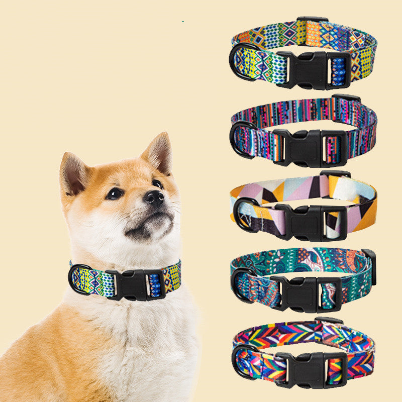 Vibrant Multi-Colored Dog Collar & Leash: Style Meets Comfort! - Bark Adventure Shop