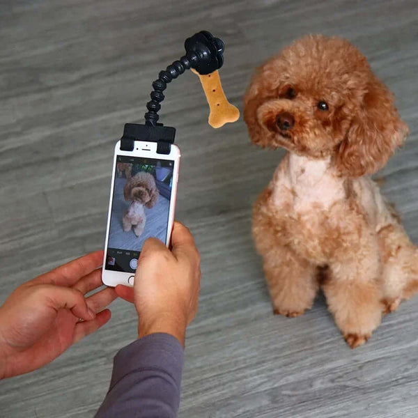 Pet Selfie Clip – Perfect Shots with Your Furry Friend!
