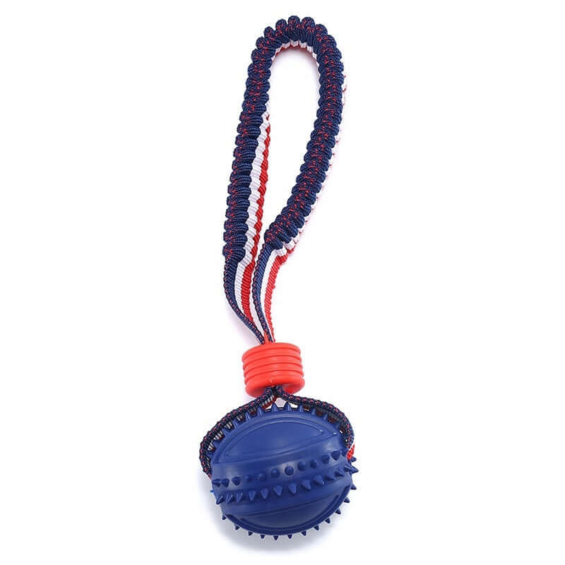 Interactive Dog Ball: Chew, Play, Train Anywhere!