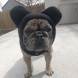 Cozy Polar Fleece Pullover – Stylish Warmth for Dogs!