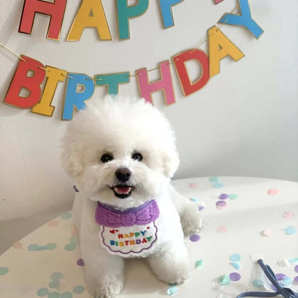 Pet Birthday Hat & Bib Set – Cute Party Outfit