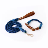 Stylish Woven Leather Dog Leash & Collar - Bark Adventure Shop