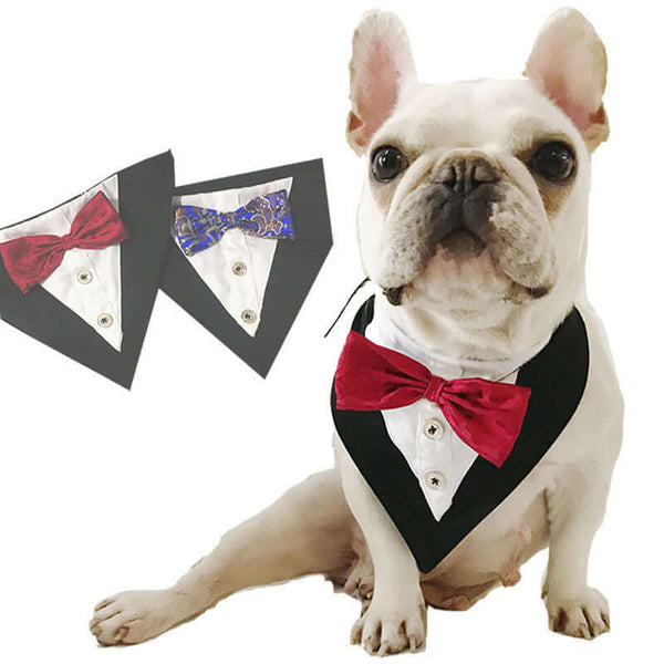 Stylish Triangle Bandana – Cute, Functional Accessory for Pets!