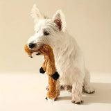 Plush Squeaky Dog Toy – Chew-Resistant & Teething Friendly
