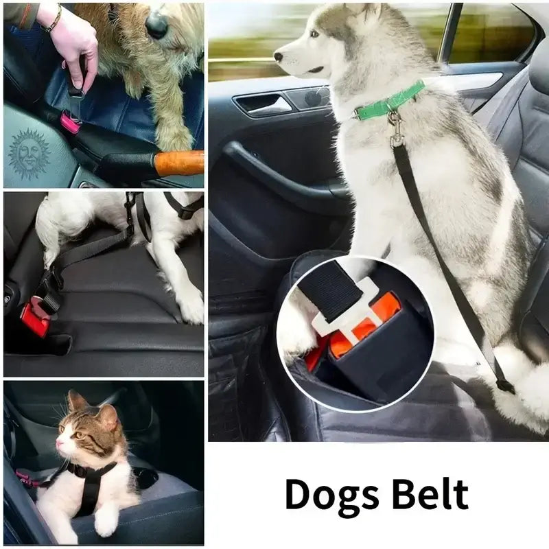 Adjustable Pet Harness & Seatbelt: Safe Travel for Dogs & Cats - Bark Adventure Shop