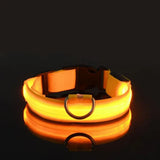 LED Glow Dog Leash – Safe, Bright, Nighttime Visibility!