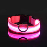 LED Glow Dog Leash – Safe, Bright, Nighttime Visibility!