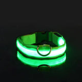 LED Glow Dog Leash – Safe, Bright, Nighttime Visibility!