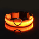 LED Glow Dog Leash – Safe, Bright, Nighttime Visibility!
