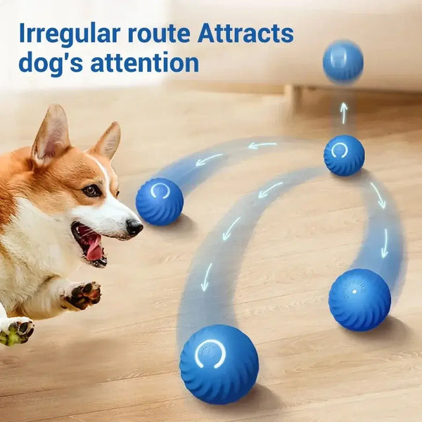 Intelligent dog toy ball automatic electronic interactive training pet toy sports ball rechargeable(including shell replacement） - Bark Adventure Shop
