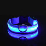 LED Glow Dog Leash – Safe, Bright, Nighttime Visibility!