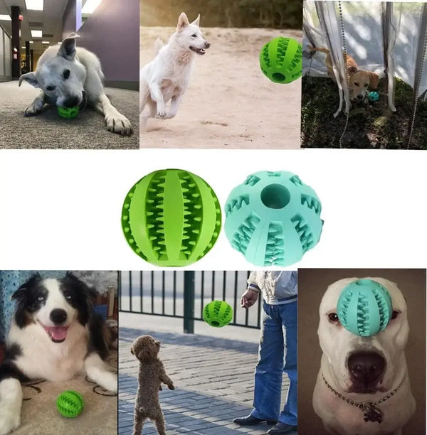 Dog Food Ball Pet Dog Toy Interactive Rubber Balls for Small Large Dogs Puppy Cat Chewing Toys Pet Tooth Cleaning - Bark Adventure Shop
