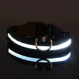 LED Glow Dog Leash – Safe, Bright, Nighttime Visibility!