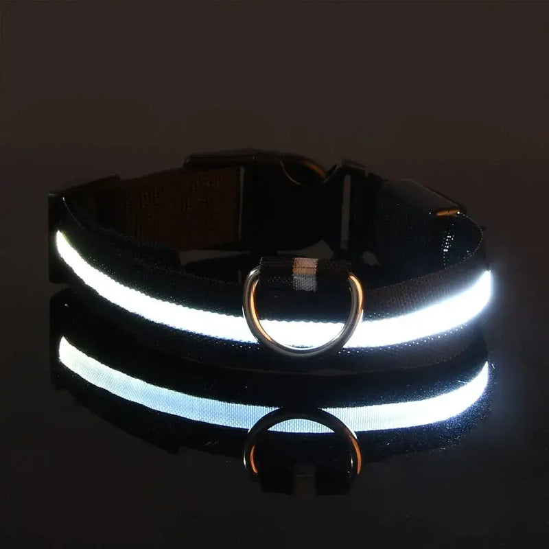 LED Glow Dog Leash – Safe, Bright, Nighttime Visibility!