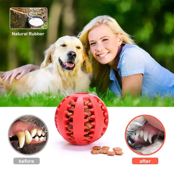 Dog Food Ball Pet Dog Toy Interactive Rubber Balls for Small Large Dogs Puppy Cat Chewing Toys Pet Tooth Cleaning - Bark Adventure Shop