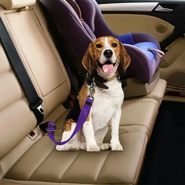Adjustable Pet Harness & Seatbelt: Safe Travel for Dogs & Cats - Bark Adventure Shop