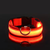 LED Glow Dog Leash – Safe, Bright, Nighttime Visibility!